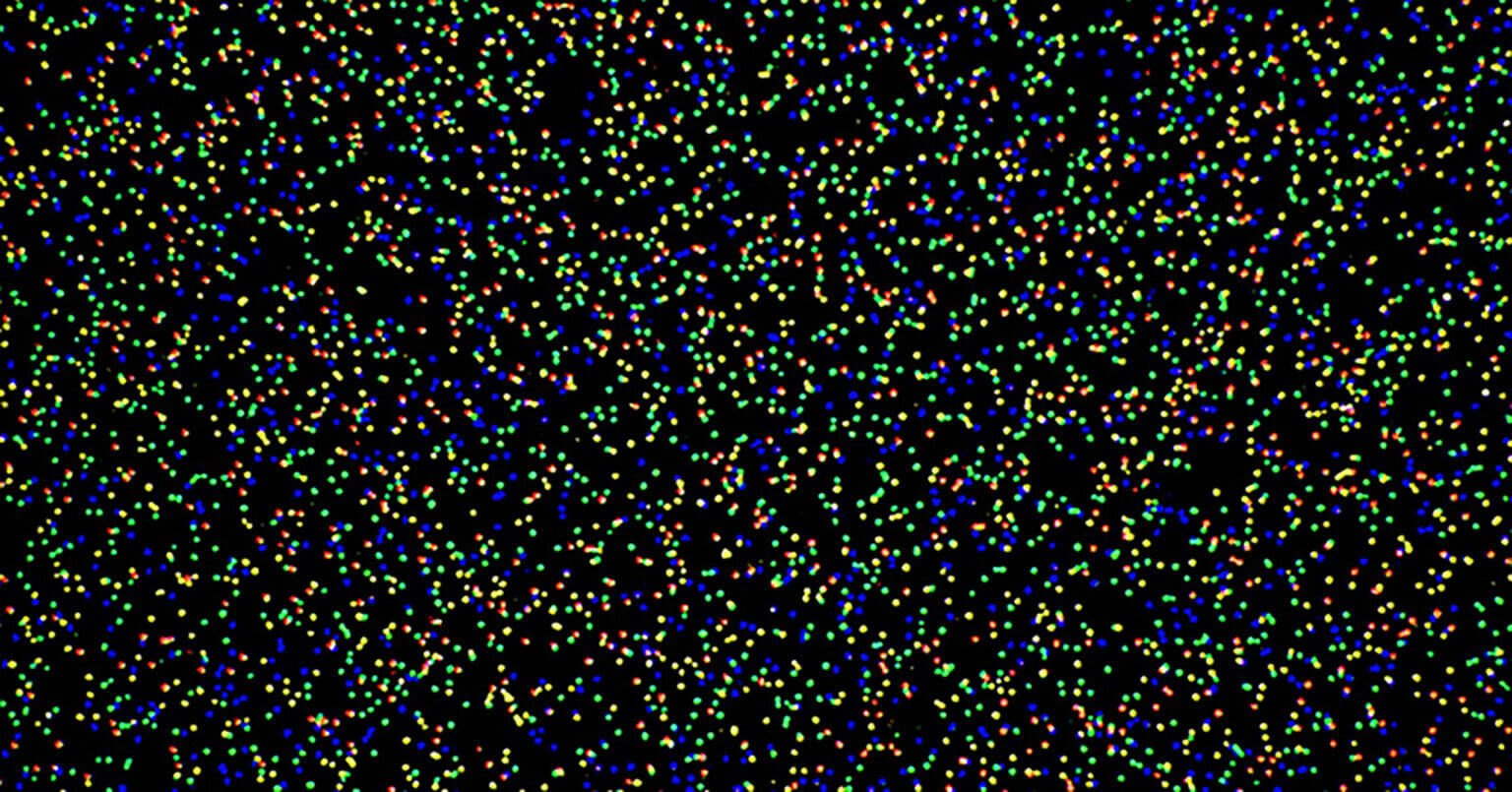 Teaching Next Generation Sequencing technologies to biomedical researchers