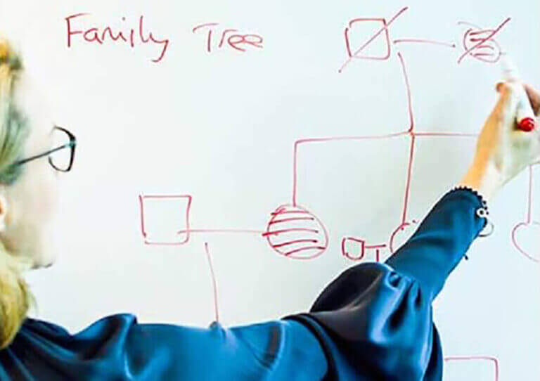 Anna Middleton drawing family tree
