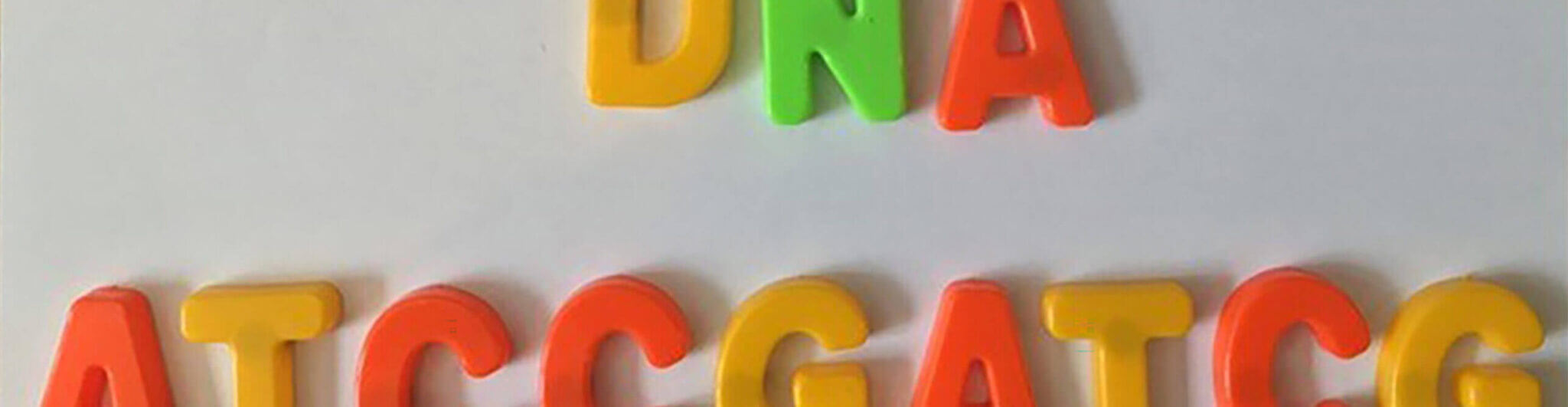 Children's fridge magnetic letters spelling DNA DNA ATCCGATC