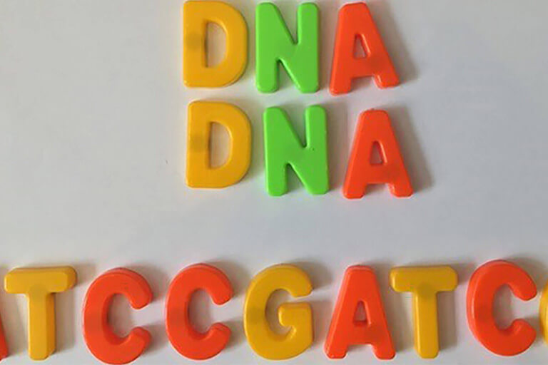 Children's fridge magnetic letters spelling DNA DNA ATCCGATC
