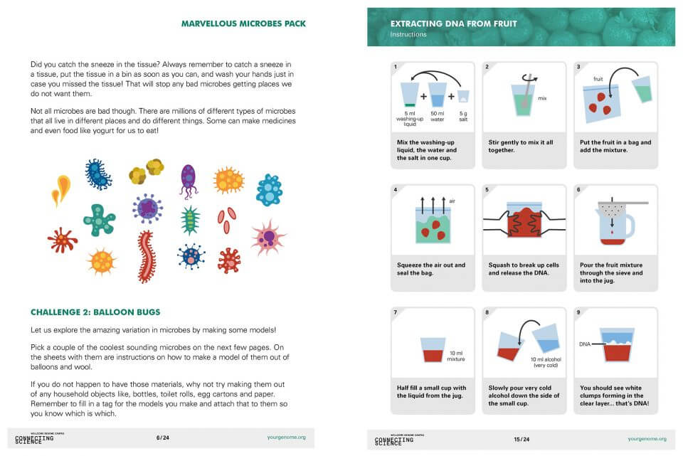 Extracts 2 from the Marvellous Microbes homelearning pack