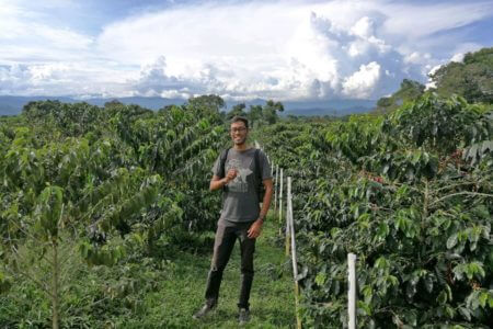 Piv amongst coffee plant varieties at Cenicafé coffee research station in Caldas, Colombia