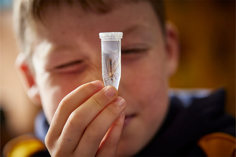Boy looking at insect in liquid in a small plastic sample pot.