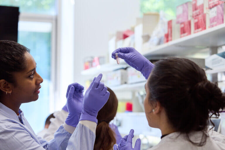 A colour photo of two researchers wearing purple gloves. One is holding a small plastic tube, with shelves in a lab in the background.