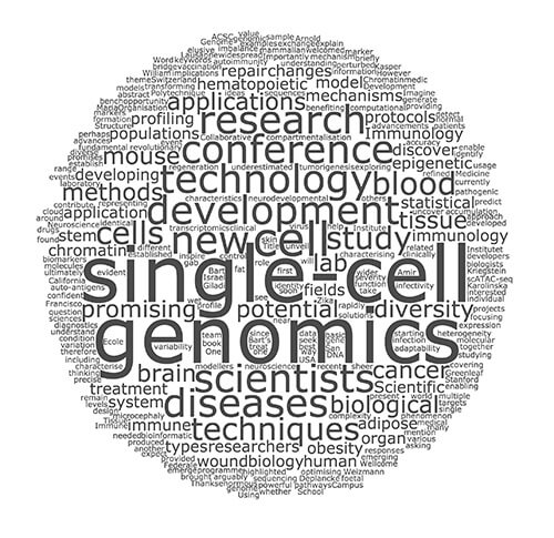 Word cloud representing the keywords found in the conference abstract book