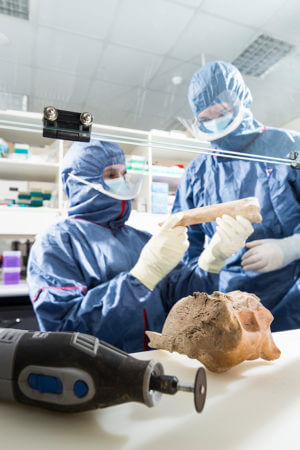 Scientists examining bones