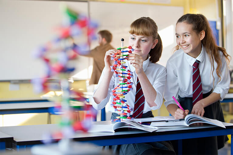 Two students looking at a model of a DNA helix