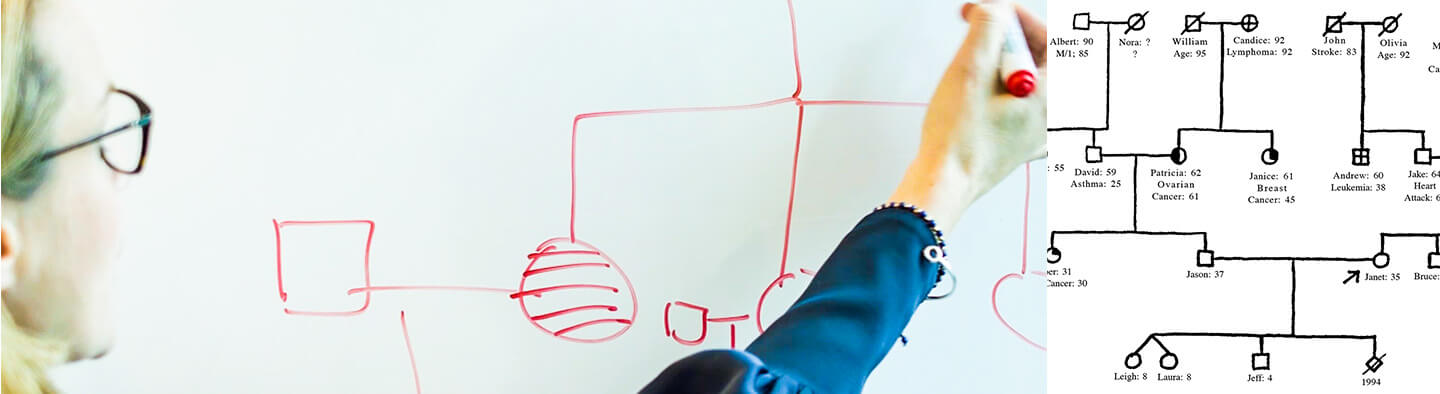 A family tree being mapped out on a white board by a genetic counsellor. And a black and white drawing of a section of a family tree.