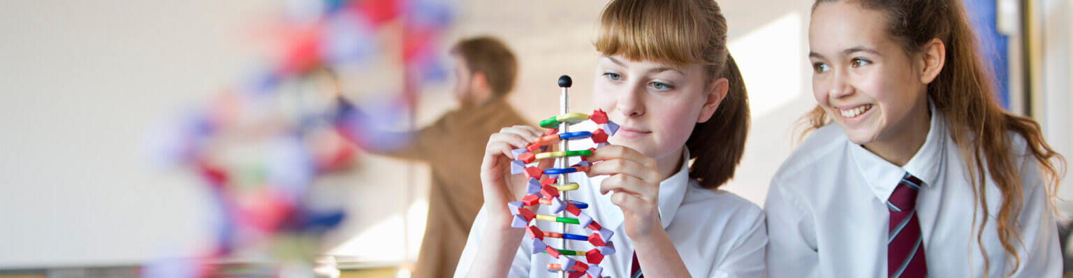 Two students looking at a model of a DNA helix
