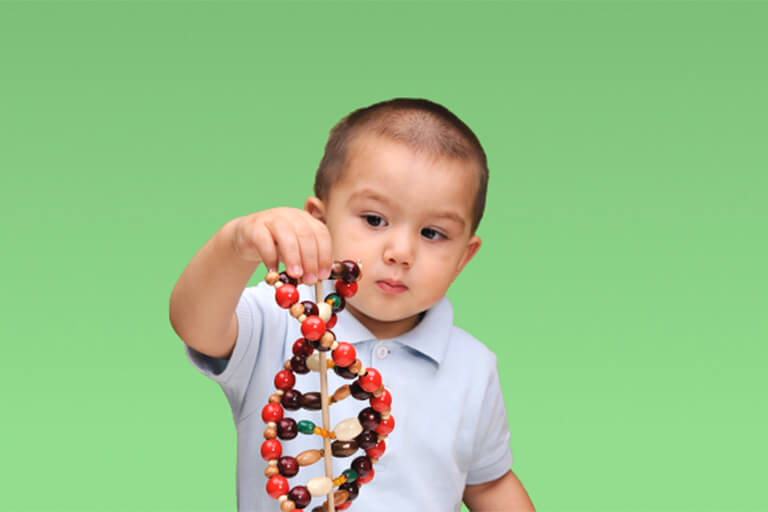 Image of child playing with a DNA helix model